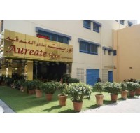  Aureate Hotel Apartment 