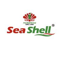 Sea Shell